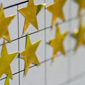 Health as a Moral Imperative: Chasing Gold Stars